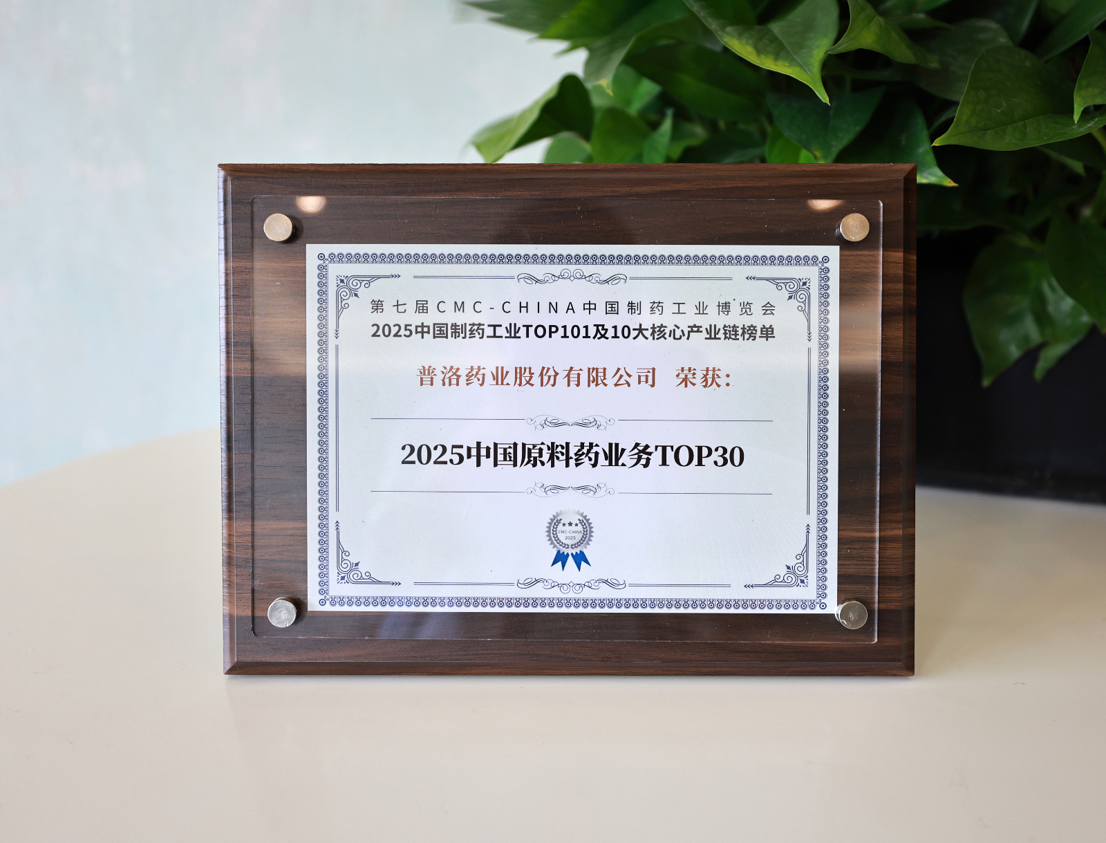 2025中國原料藥業務TOP30.JPG